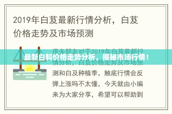 最新白料價(jià)格走勢分析，揭秘市場行情！