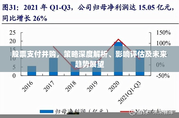 股票支付并購，策略深度解析、影響評(píng)估及未來趨勢展望
