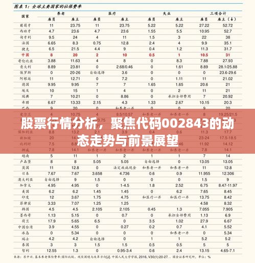 股票行情分析，聚焦代碼002843的動(dòng)態(tài)走勢與前景展望