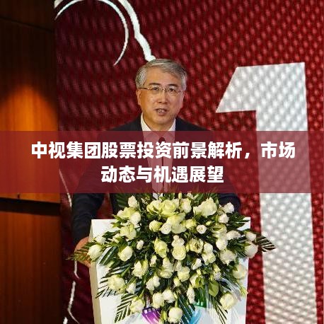 中視集團股票投資前景解析，市場動態(tài)與機遇展望