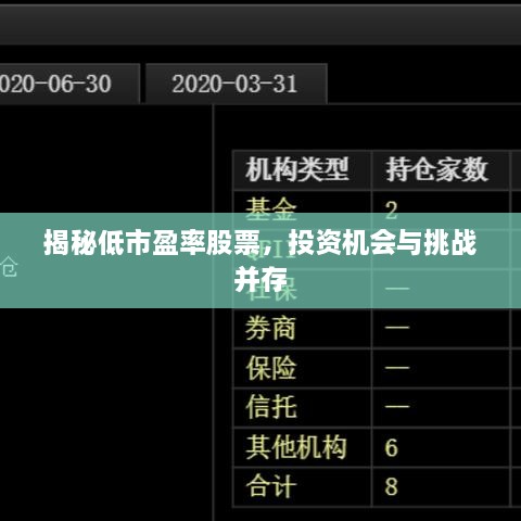 揭秘低市盈率股票，投資機(jī)會(huì)與挑戰(zhàn)并存