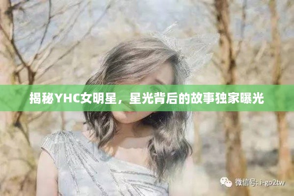 揭秘YHC女明星，星光背后的故事獨家曝光