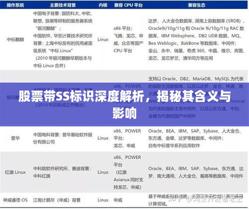 股票帶SS標(biāo)識深度解析，揭秘其含義與影響