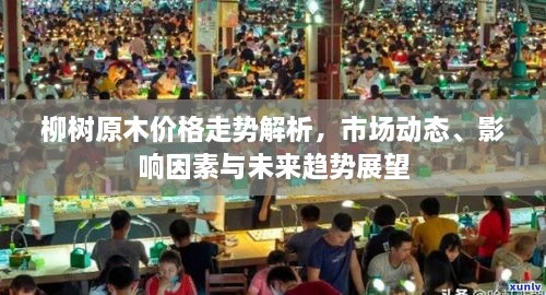 柳樹原木價格走勢解析，市場動態(tài)、影響因素與未來趨勢展望