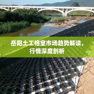 岳陽土工格室市場趨勢解讀，行情深度剖析