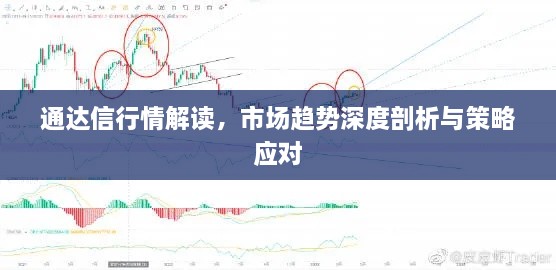 通達信行情解讀，市場趨勢深度剖析與策略應對