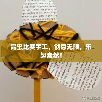 昆蟲比賽手工，創(chuàng)意無限，樂趣盎然！