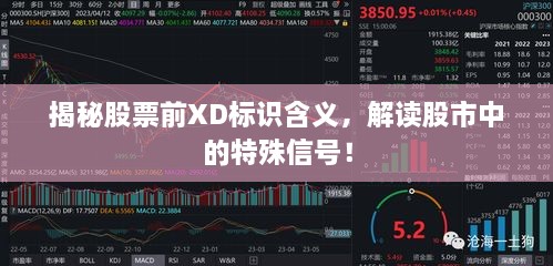 揭秘股票前XD標(biāo)識含義，解讀股市中的特殊信號！
