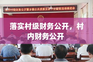 落實村級財務(wù)公開，村內(nèi)財務(wù)公開 