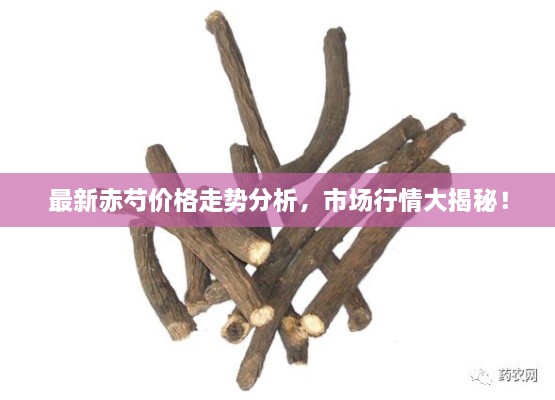 最新赤芍價格走勢分析，市場行情大揭秘！
