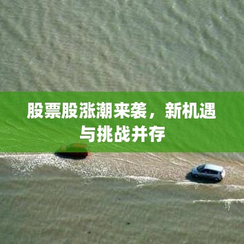 股票股漲潮來襲，新機遇與挑戰(zhàn)并存