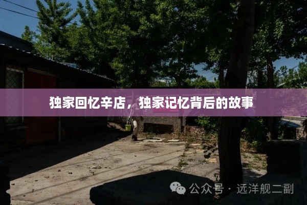 獨(dú)家回憶辛店，獨(dú)家記憶背后的故事 