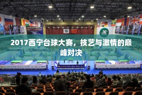 2017西寧臺球大賽，技藝與激情的巔峰對決