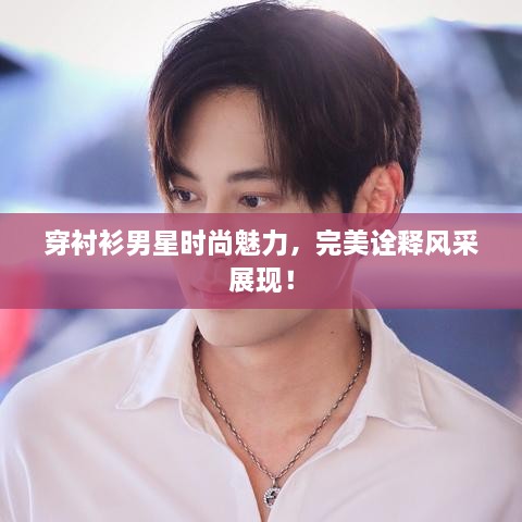 穿襯衫男星時尚魅力，完美詮釋風采展現(xiàn)！