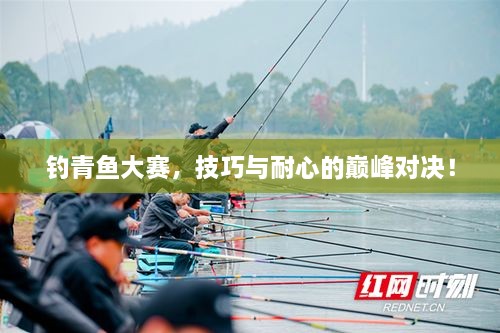 釣青魚(yú)大賽，技巧與耐心的巔峰對(duì)決！