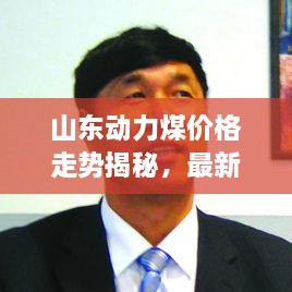 山東動力煤價格走勢揭秘，最新行情分析報告