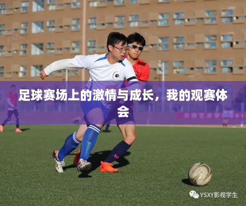 足球賽場(chǎng)上的激情與成長(zhǎng)，我的觀賽體會(huì)
