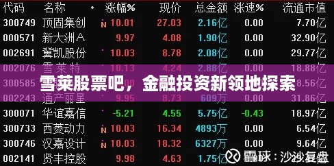 雪萊股票吧，金融投資新領地探索