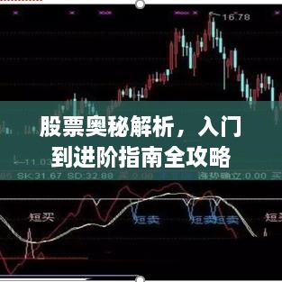 股票奧秘解析，入門到進階指南全攻略