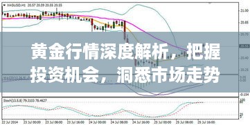 黃金行情深度解析，把握投資機會，洞悉市場走勢