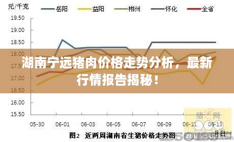 湖南寧遠豬肉價格走勢分析，最新行情報告揭秘！