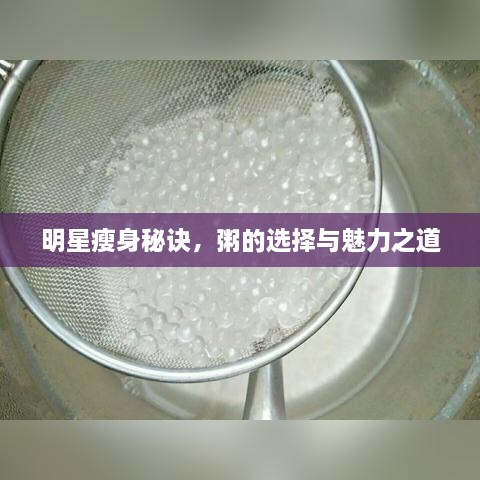 明星瘦身秘訣，粥的選擇與魅力之道