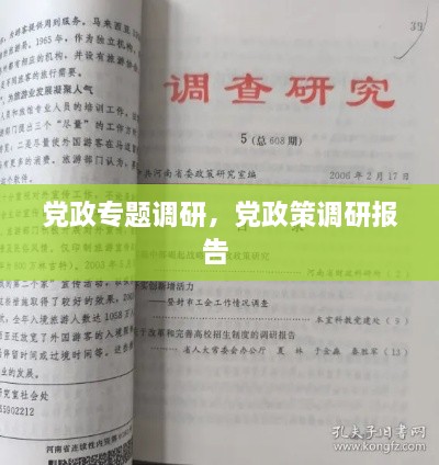 黨政專題調(diào)研，黨政策調(diào)研報(bào)告 
