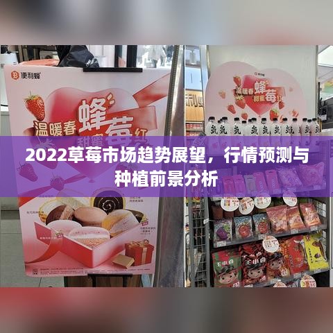 2022草莓市場趨勢展望，行情預(yù)測與種植前景分析