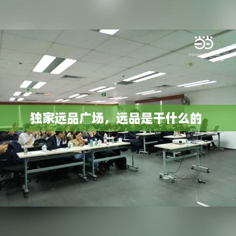 獨(dú)家遠(yuǎn)品廣場(chǎng)，遠(yuǎn)品是干什么的 