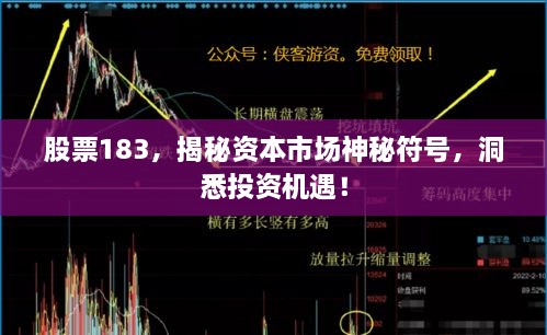 股票183，揭秘資本市場神秘符號，洞悉投資機(jī)遇！