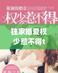 獨(dú)家婚愛(ài)權(quán)少惹不得txt下載，獨(dú)家婚寵免費(fèi)閱讀全文 
