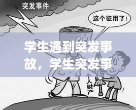 學(xué)生遇到突發(fā)事故，學(xué)生突發(fā)事件的處理原則 