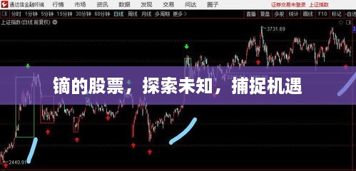 鏑的股票，探索未知，捕捉機(jī)遇
