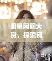 明星網(wǎng)圖大賞，探索網(wǎng)絡(luò)上的閃耀星辰之美
