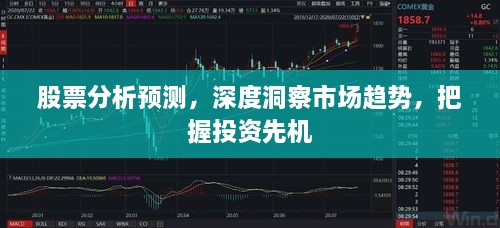 股票分析預(yù)測(cè)，深度洞察市場(chǎng)趨勢(shì)，把握投資先機(jī)