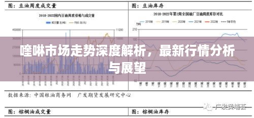 喹啉市場(chǎng)走勢(shì)深度解析，最新行情分析與展望