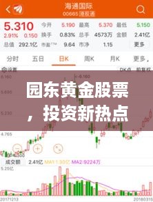園東黃金股票，投資新熱點(diǎn)，財(cái)富新選擇