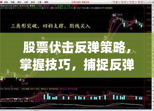 股票伏擊反彈策略，掌握技巧，捕捉反彈機(jī)會！