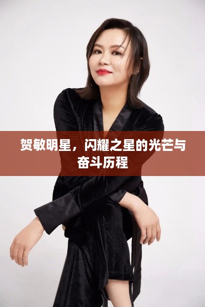 賀敏明星，閃耀之星的光芒與奮斗歷程
