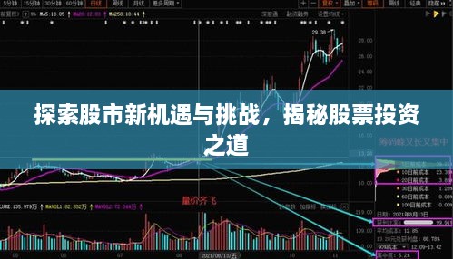 探索股市新機遇與挑戰(zhàn)，揭秘股票投資之道