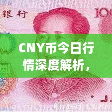 CNY幣今日行情深度解析，最新價(jià)格動(dòng)態(tài)一網(wǎng)打盡！