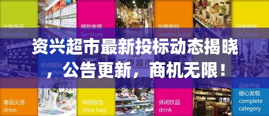 資興超市最新投標(biāo)動(dòng)態(tài)揭曉，公告更新，商機(jī)無限！
