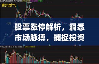 股票漲停解析，洞悉市場(chǎng)脈搏，捕捉投資黃金機(jī)會(huì)