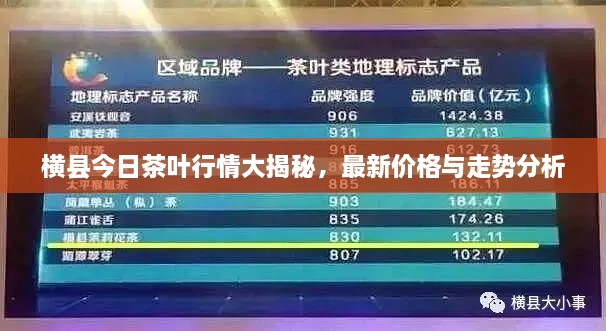 橫縣今日茶葉行情大揭秘，最新價格與走勢分析