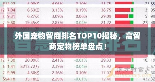 外國(guó)寵物智商排名TOP10揭秘，高智商寵物榜單盤點(diǎn)！