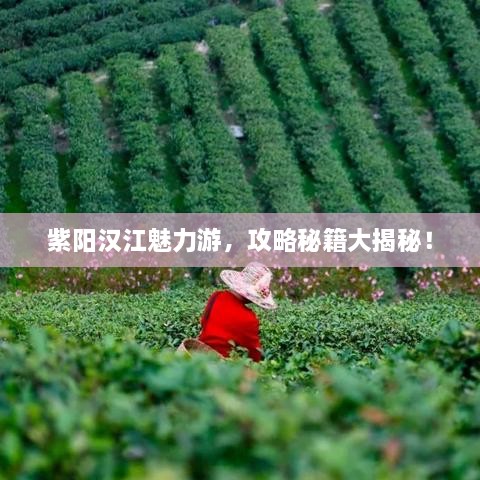 紫陽(yáng)漢江魅力游，攻略秘籍大揭秘！