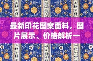 最新印花圖案面料，圖片展示、價(jià)格解析一網(wǎng)打盡