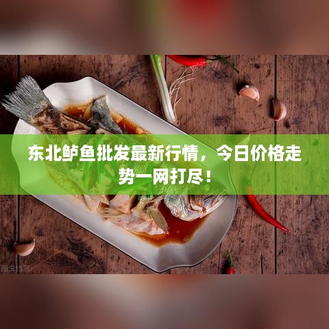 東北鱸魚批發(fā)最新行情，今日價(jià)格走勢(shì)一網(wǎng)打盡！