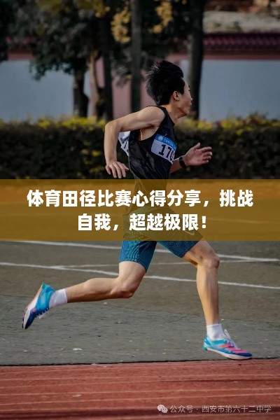 體育田徑比賽心得分享，挑戰(zhàn)自我，超越極限！