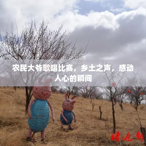 農(nóng)民大爺歌唱比賽，鄉(xiāng)土之聲，感動(dòng)人心的瞬間